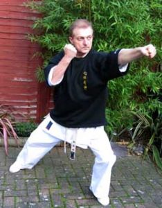 basics using karate punch technique